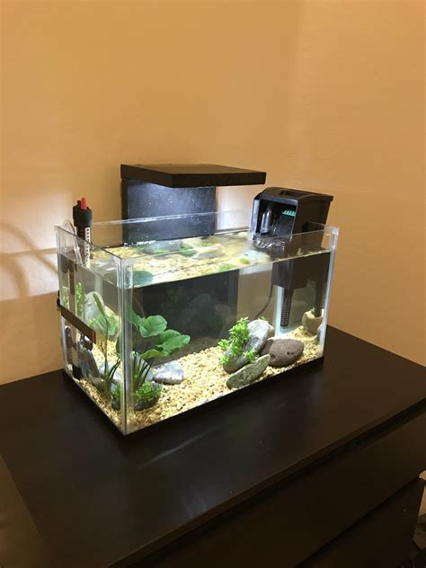 DIY rimless 10 gallon : r/Aquariums