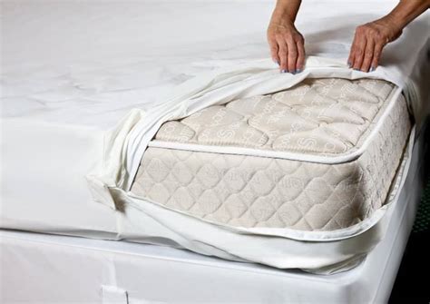 Best Bed Bug Mattress Covers & Encasements | PestSeek