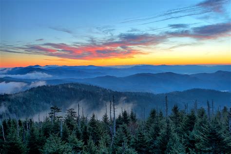 Clingman’s Dome - Mountain Field Guide