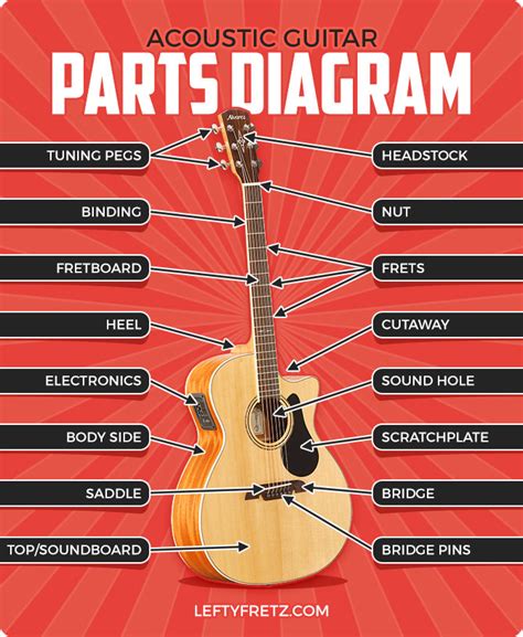 Parts Of A Guitar Explained (Acoustic & Electric Diagrams)