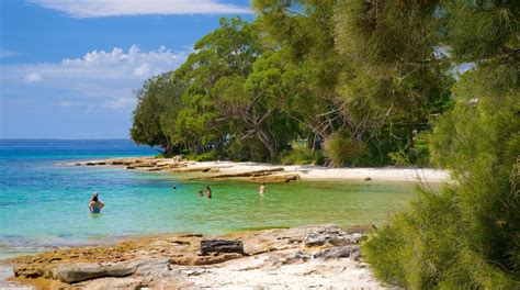 Collingwood Beach - Jervis Bay Attraction | Expedia.com.au