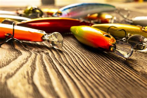 Types of Lures for Saltwater Fishing: Seven Great Options - Surf ...