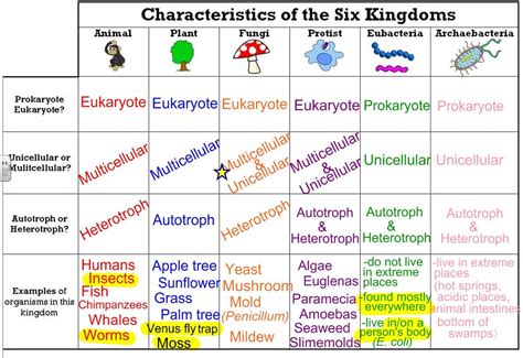 Classification of Organisms - Rumney Marsh Academy Science Revere ...