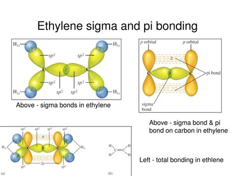 Sigma pi bonds - klimclinic