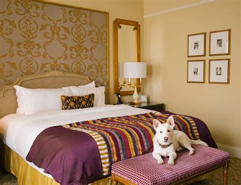 The Ritz-Carlton New Orleans Review: French Quarter Charm | Trekbible