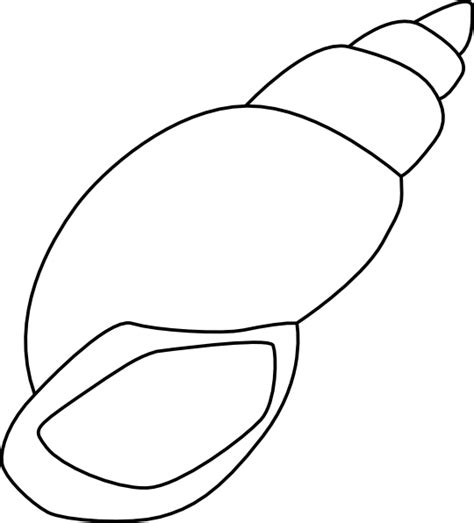 Seashell Outline Clip Art at Clker.com - vector clip art online ...