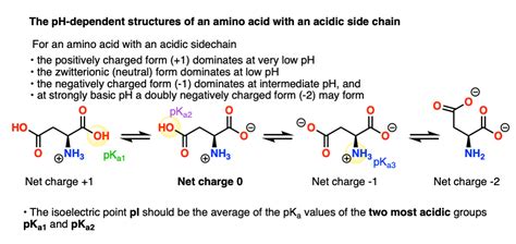 Acidic Amino Acids