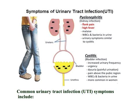 Blood in urine uti female Porn Pics, Sex Photos, XXX Images - Fatsackgames