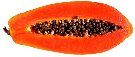 What is papaya fruit | Feast