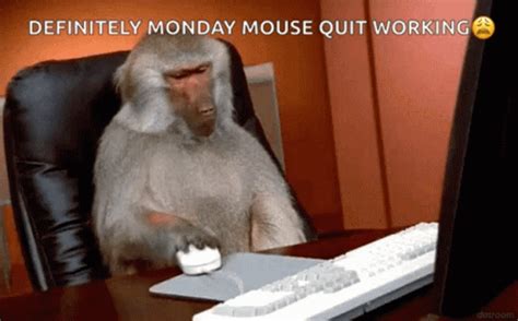 Monkey Business Annoyed GIF - MonkeyBusiness Annoyed Irritated ...