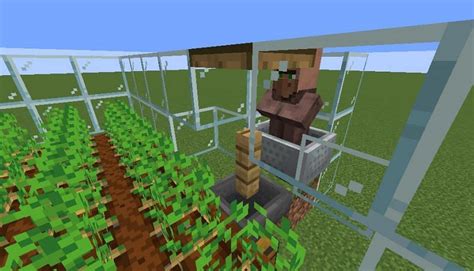 Automatic Potato Farm Minecraft No Villager - Nicholas Bailey