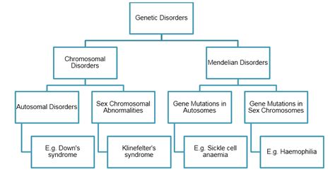 Genetic Disorders Chart