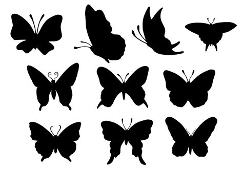 10 Butterfly Silhouette (PNG Transparent) | OnlyGFX.com