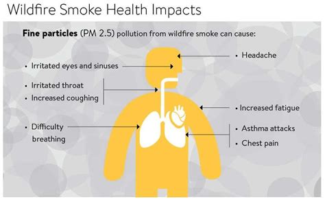 Cross-Border Smoky Threats: Health Impacts of Canadian Wildfire Smoke ...