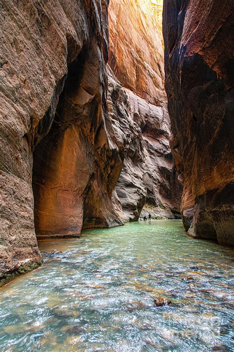 Gorgeous Colors Hike The Narrows Zion National Park Photograph by Wayne ...