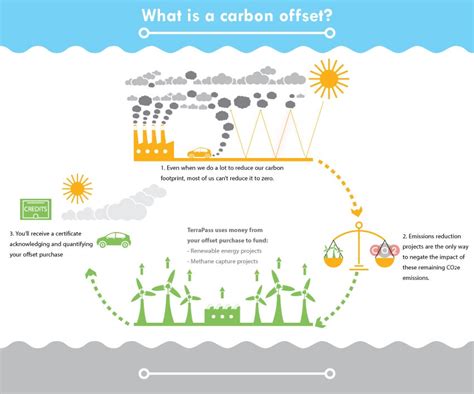 Carbon Offsets Explained | Reduce Emissions & Climate Change