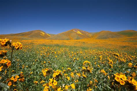 Visit Atascadero - California Central Coast