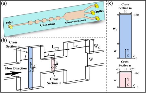 Schematic diagram of microchannel structure. a Three-dimensional ...