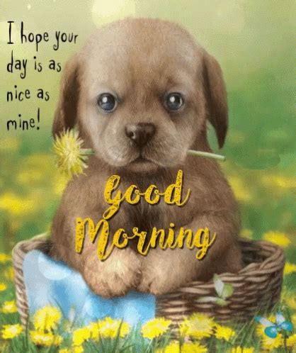 Good Morning Puppy GIF