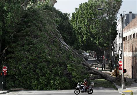 Santa Ana Winds Buffet California - The New York Times