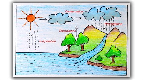 Water Cycle Diagram For 5th Grade