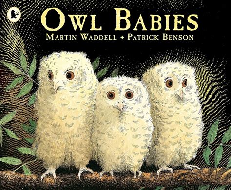 Walker Books - Owl Babies (Picture Book) - WordUnited