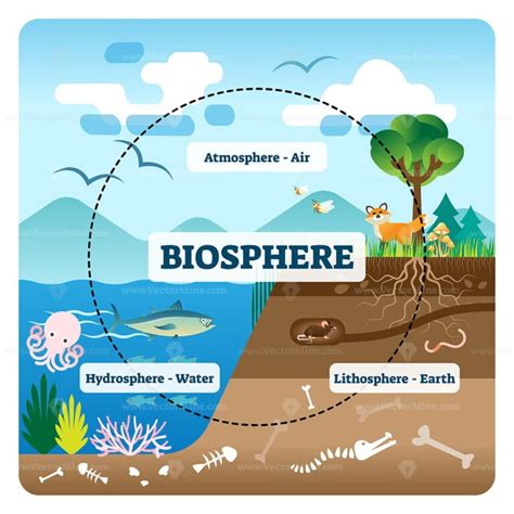 Biosphere division with labeled ecosystem explanation scheme outline ...