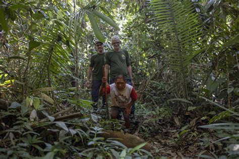 He tracks elusive Amazon tribes, but only from the shadows | The ...