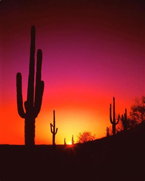 25+ bästa Desert sunset idéerna på Pinterest | Vacker solnedgång ...