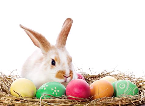 30 Cute Easter Bunny Images