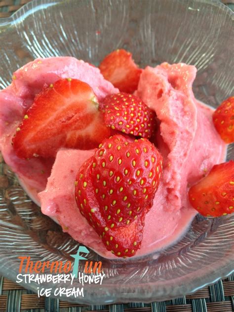 ThermoFun - Strawberry Honey Ice Cream Recipe - ThermoFun | Thermomix ...