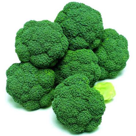 12 Top Performing Broccoli Varieties - Growing Produce