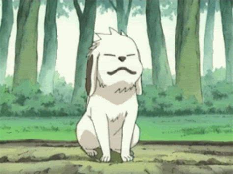 Los Mejores y más famosos Perros del Anime - XDeAnime