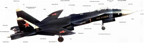 Why was the Sukhoi Su-47 Berkut never adopted for service? - P3air ...