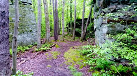 The Start and End of the Finger Lakes Trail - The Trek