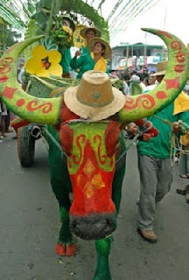 The Carabao Festival in Bulacan - Where Carabaos Kneel in Front of the ...