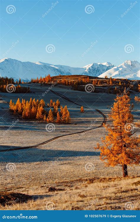 Beautiful Fall Leaf Colors and Road in Mountain Stock Image - Image of ...