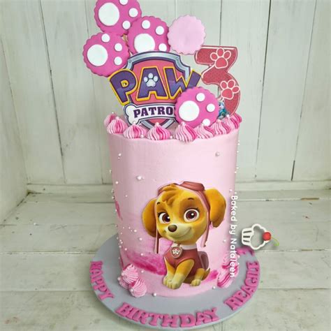 Pin On Dort Skye Paw Patrol Cake Paw Patrol Cake Paw Patrol Party Cake ...