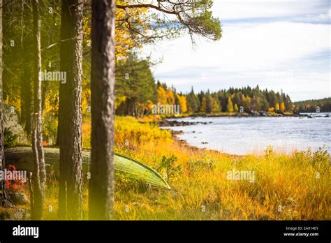 Autumn forest at river Stock Photo - Alamy