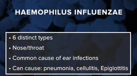 What is Haemophilus influenzae? Here are the symptoms to watch for