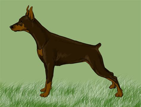 5 Easy Ways to Draw a Dog (with Pictures) - wikiHow