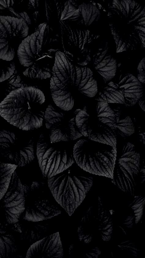 Black Amoled HD Wallpapers - Wallpaper Cave