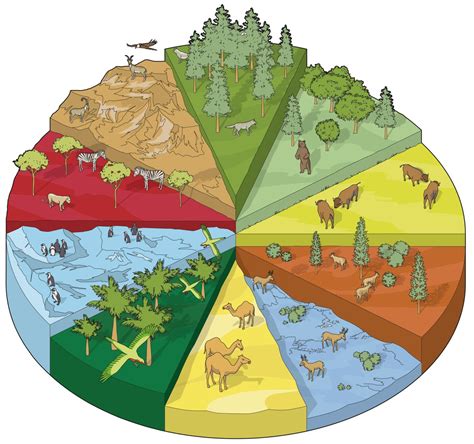 Land Habitats | Different Habitat Types | DK Find Out