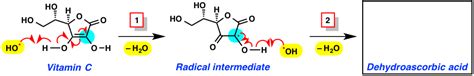 Solved predict the structure of dehydroascorbic acid (Hint: | Chegg.com