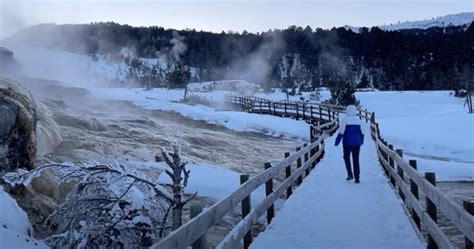 How to Visit Yellowstone in Winter: 14 Things to Know - We're in the ...