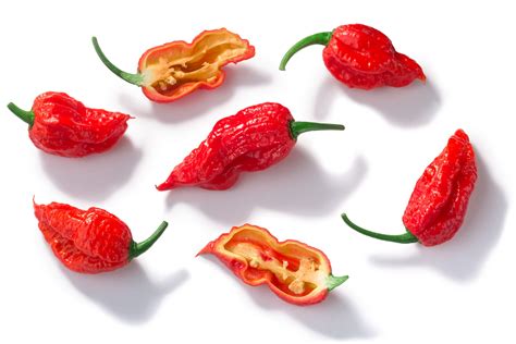 Ghost Pepper Plant Scoville, Colors and [Updated] Grow Guide