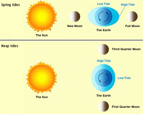 Astro-Climate-Connection: El Niños and Extreme Proxigean Spring Tides