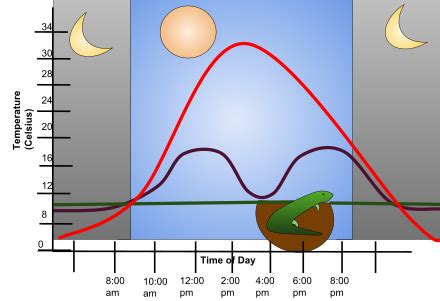 Ectotherm - Wikiwand