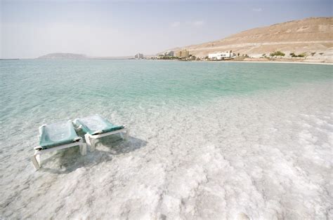 Fauna and Flora - DeadSea.com