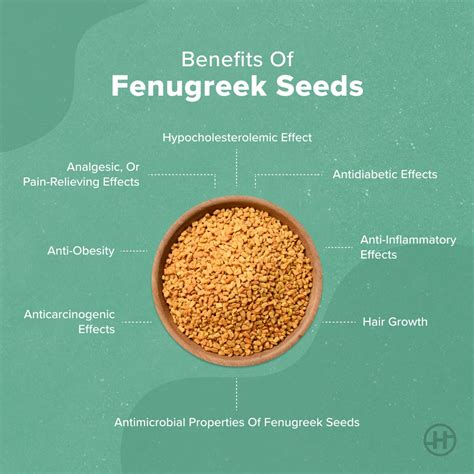 Fenugreek Seeds - Benefits, Nutritional Value And Ways To Use - HealthifyMe